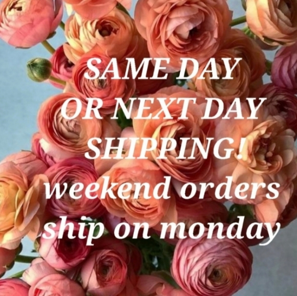 Brand New Airballoons Garland Wedding and Baby Party. 2 Packages. - Picture 8 of 8